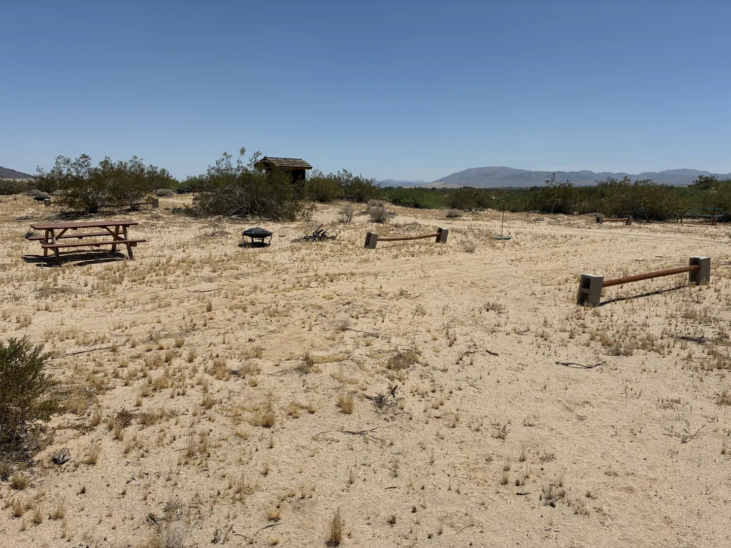 A dispersed campsite with a picnic table in the open desert