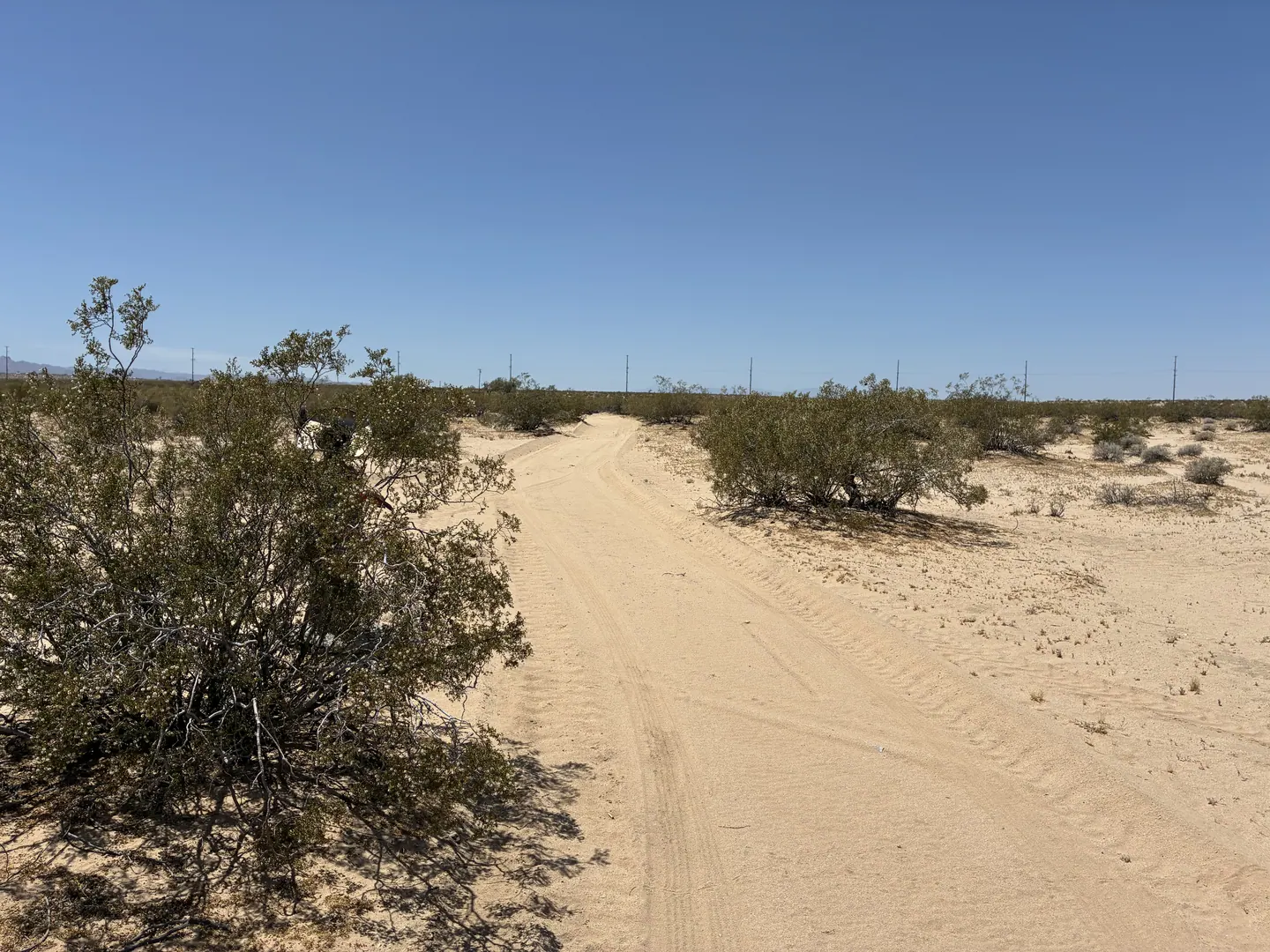 The sandy desert road on the approach to Camp Warner